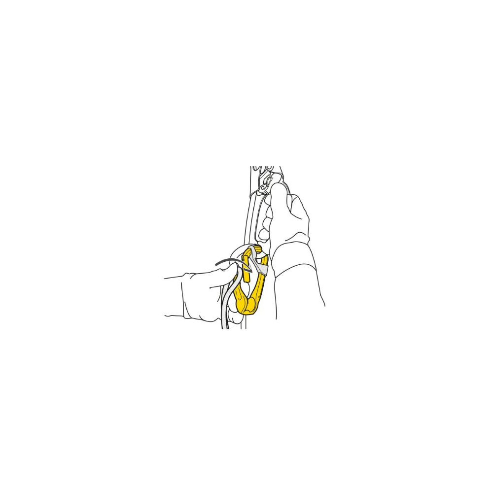 Mousqueton-poulie Petzl ROLLCLIP A